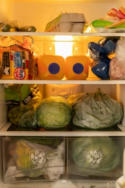 Open refrigerator stocked with fresh vegetables and ingredients